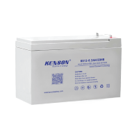 Fiamm 6V-3Ah F1 Sealed Lead Acid Battery Price in Bangladesh