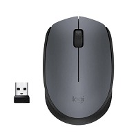 Logitech M171 Wireless Nano-receiver Mouse in Bangladesh
