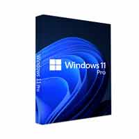 Microsoft Windows 11 Pro OEM License KEY