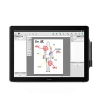 Wacom DTK-2451 FHD Pen Display
