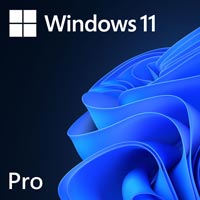 Microsoft Windows 11 Professional 64-Bit DVD-OEM